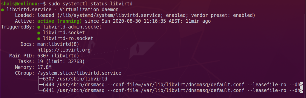 Check Virtualization Status in Linux Ubuntu